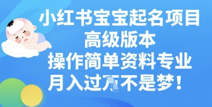 小红书宝宝起名项目高级版本，操作简单，资料专业，月入过W-迷胡学堂