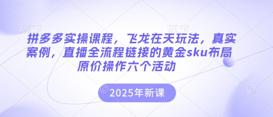 拼多多实操课程，飞龙在天玩法，真实案例，直播全流程链接的黄金sku布局原价操作六个活动-迷胡学堂