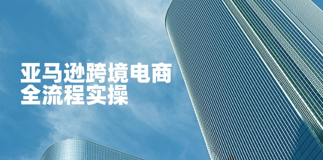 （14252期）亚马逊跨境电商全流程实操，教你从零开始，掌握店铺运营与广告技巧-迷胡学堂