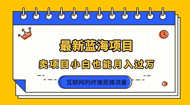 （14289期）2025年最新蓝海项目，卖项目小白也能月入过万-迷胡学堂
