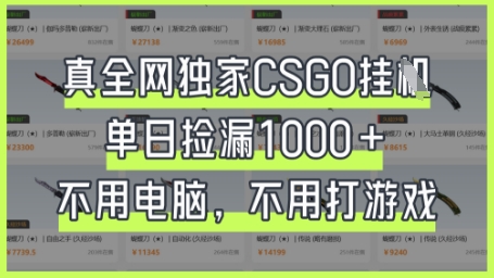 真全网独家CSGO挂G，单日捡漏1k+【揭秘】-迷胡学堂